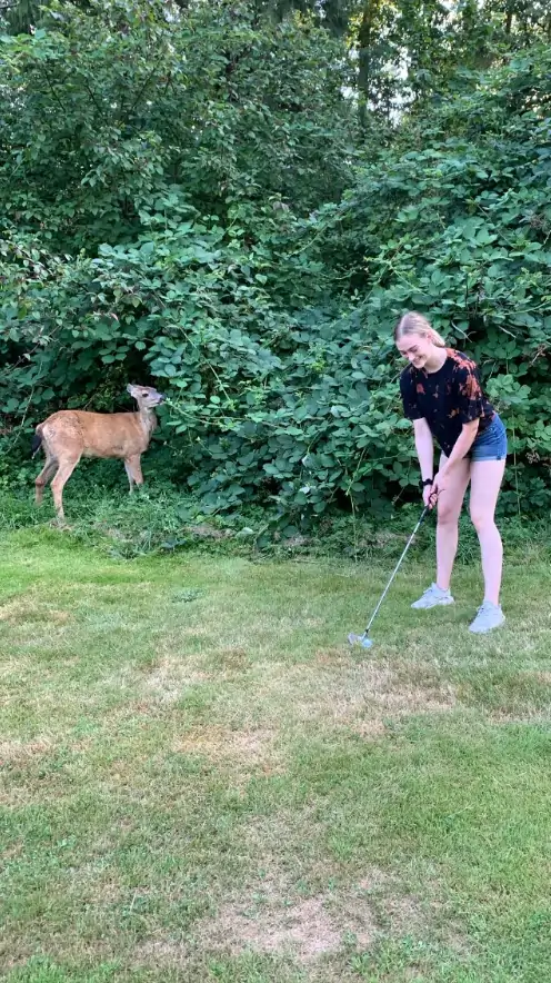 Woman playing near local wildlife on Hackers Haven Golf Course in Maple Ridge.